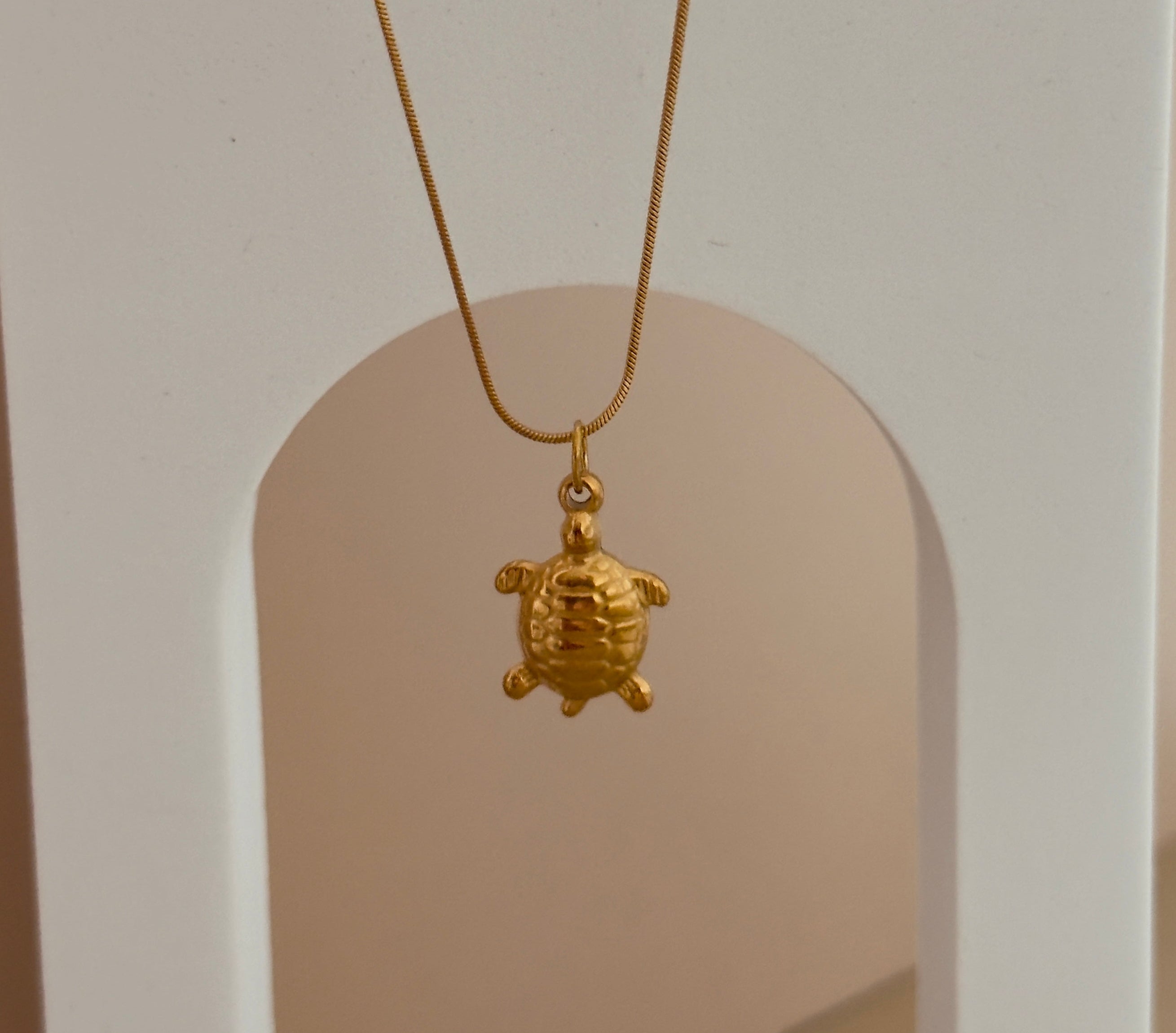 Collar Tortuga Dorada