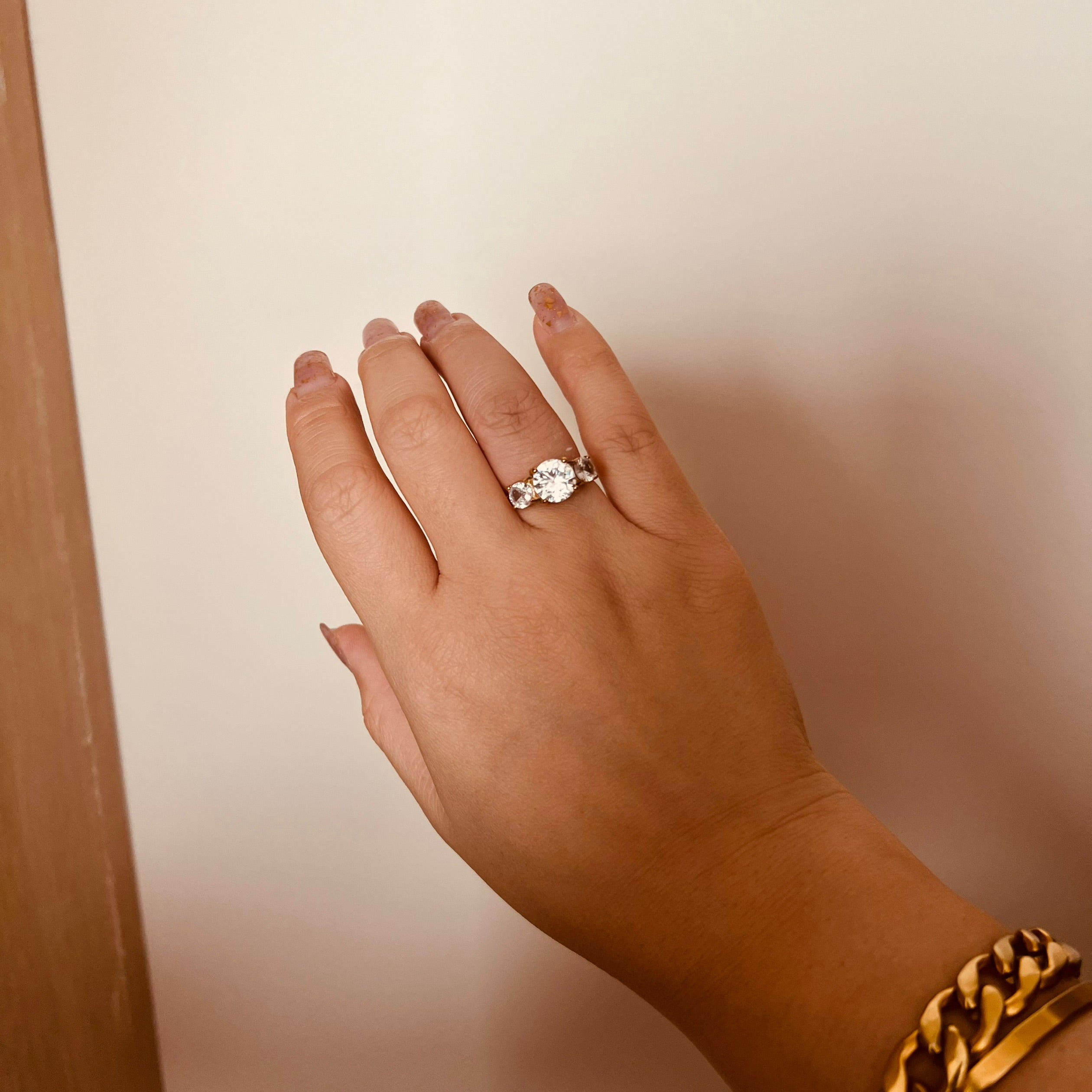Anillo pasado, presente y futuro (circular).