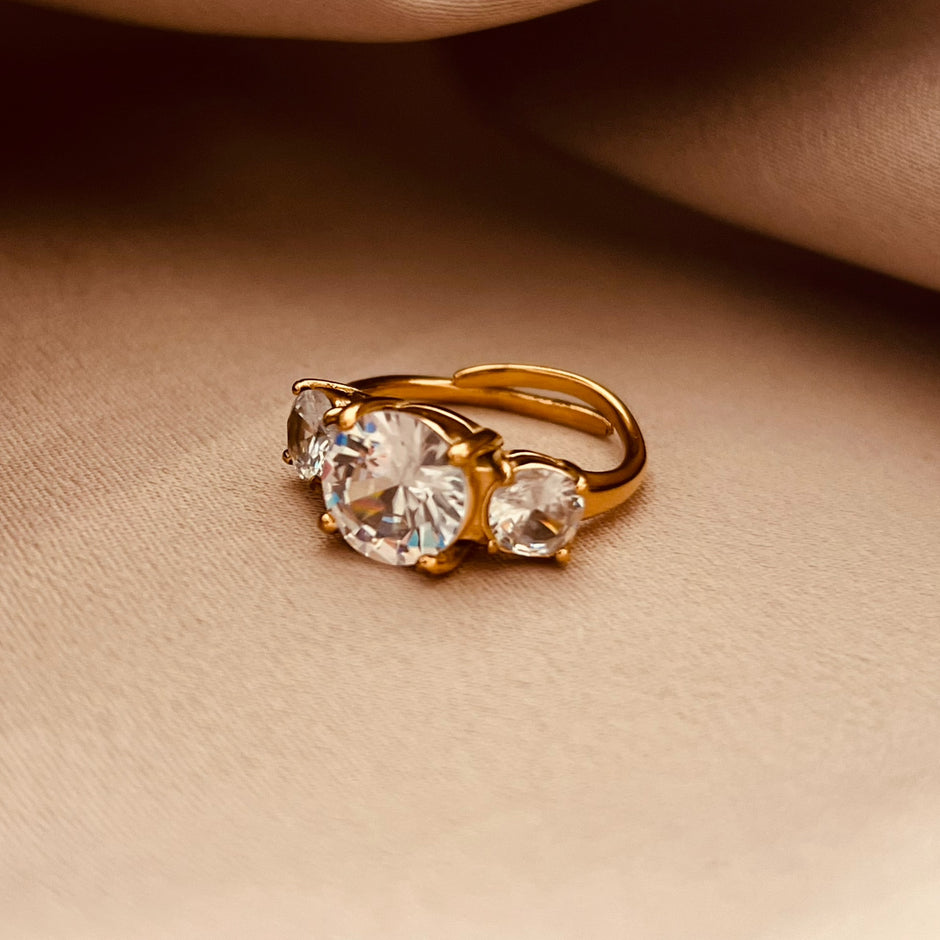 Anillo pasado, presente y futuro (circular).