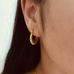 Aretes Alondra (pequeños)