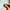 Anillo promise